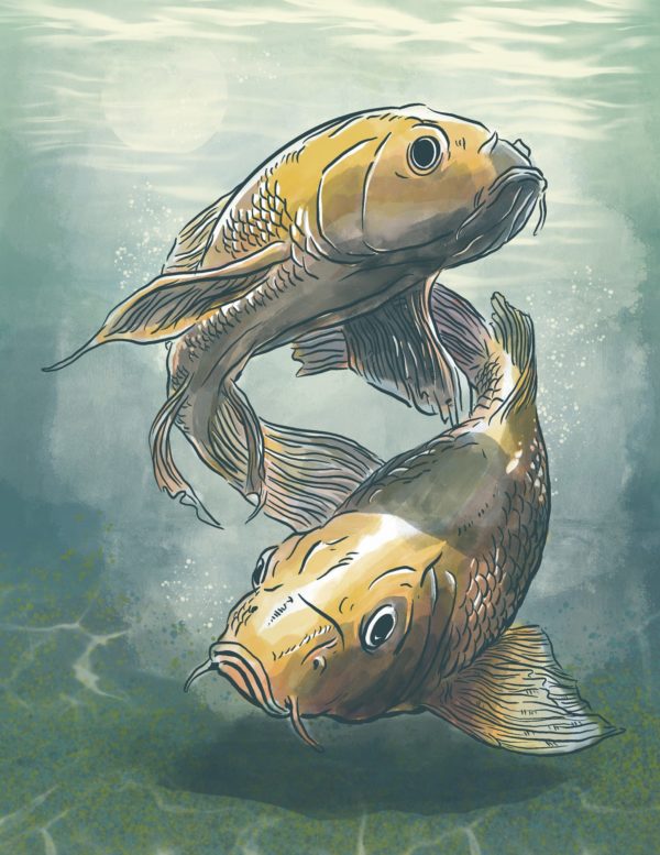 03 - Pisces, Feb 18 - Mar 20